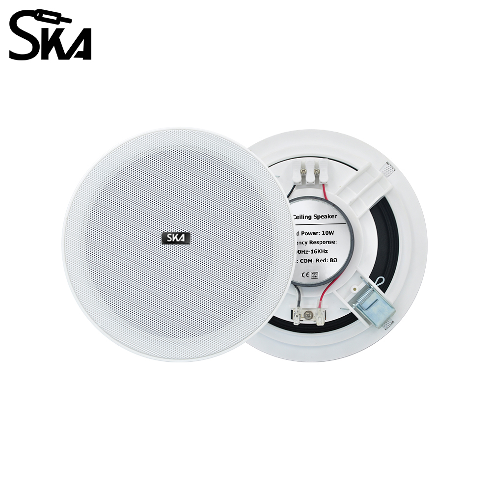 6.5-inch 20W， 8ΩDual cone spea - đánh giá và giá Audio Music Store