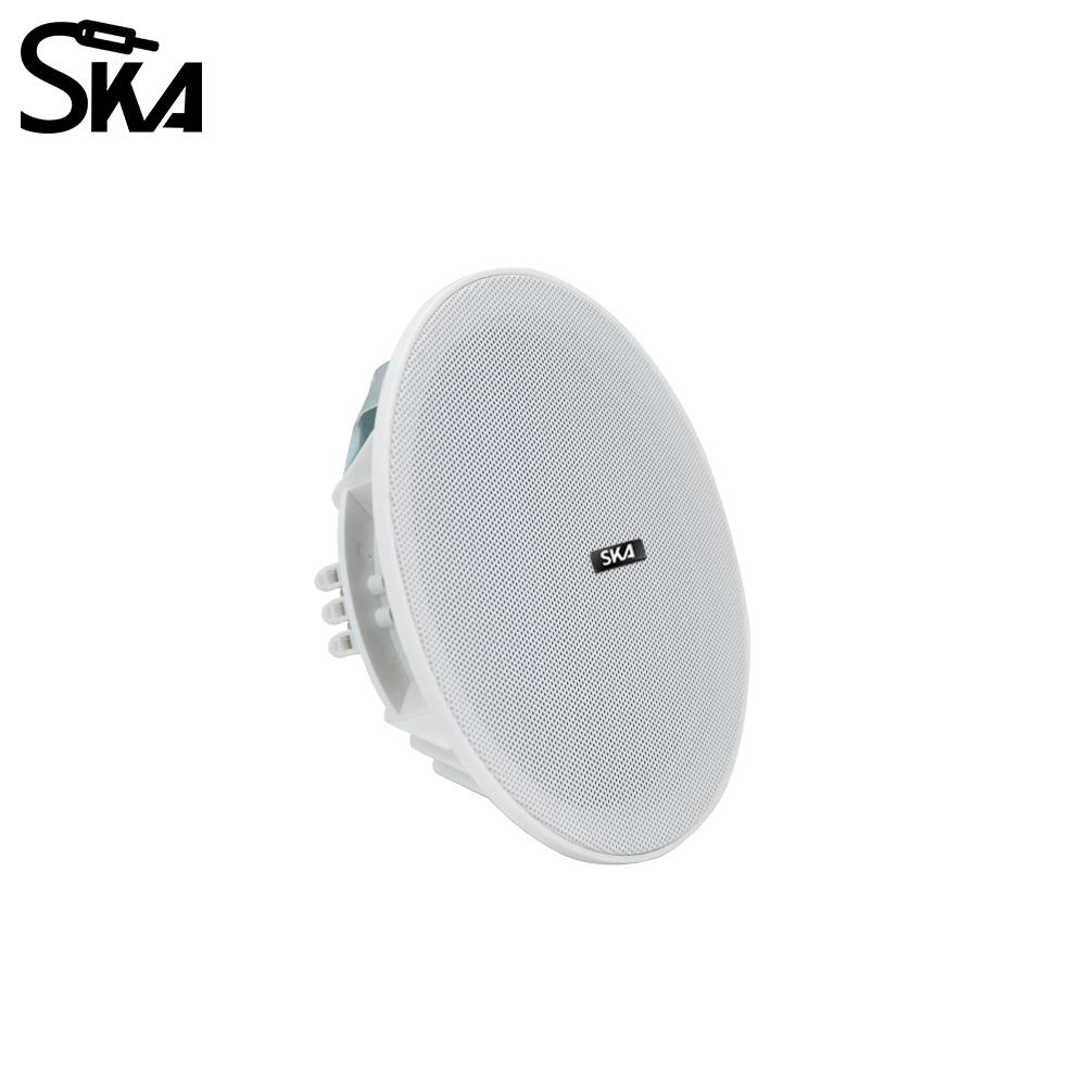 6.5-inch 20W， 8ΩDual cone spea - đánh giá và giá Audio Music Store