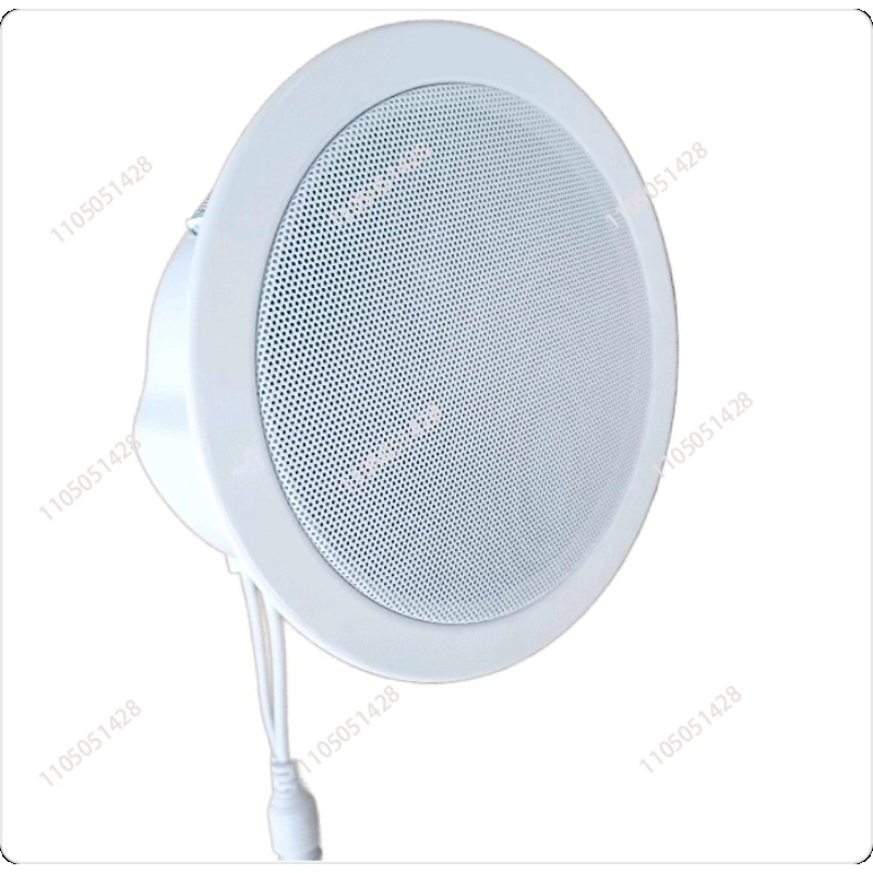IP network speaker, ceiling au - đánh giá và giá Audio Music Store