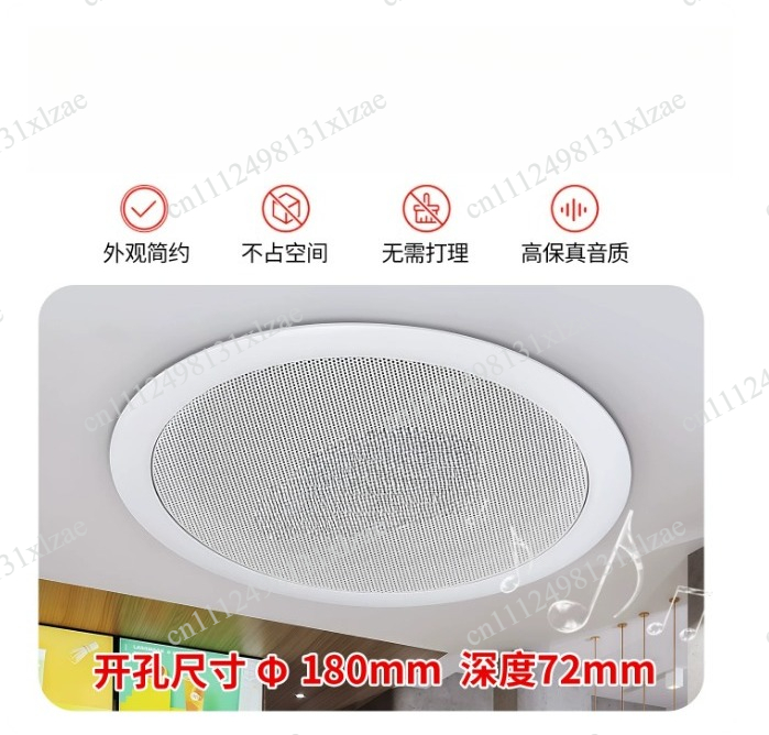 TD202 ceiling speaker ceiling  - đánh giá và giá Audio Music Store