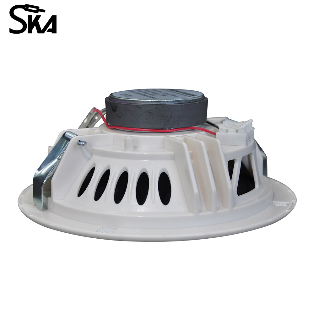 6.5-inch 12W 8Ω Dual cone spea - đánh giá và giá Audio Music Store